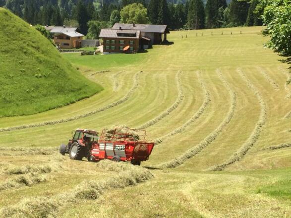 Heuarbeit 8.6.2014