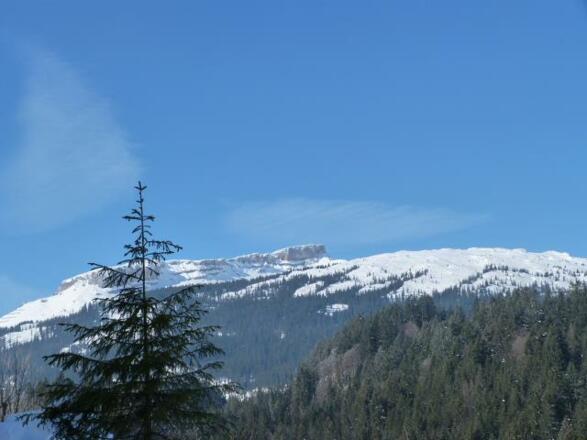 Blick zum Ifen