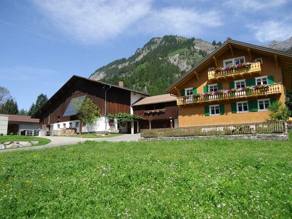 Unser Bauernhof im Sommer
