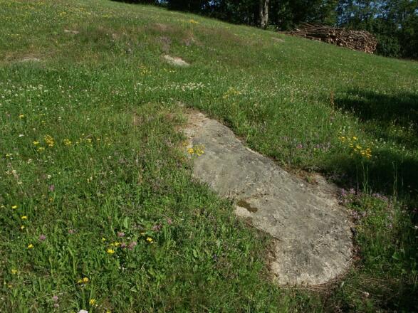 Wiese mit anstehendem Gestein