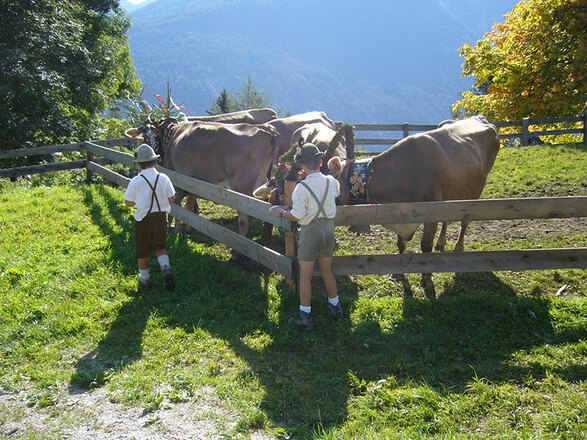Froneben Alm