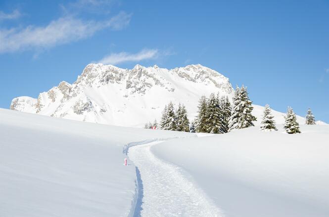 Winterwandern