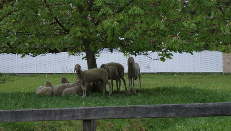 Unsere Nachbarn zu Besuch