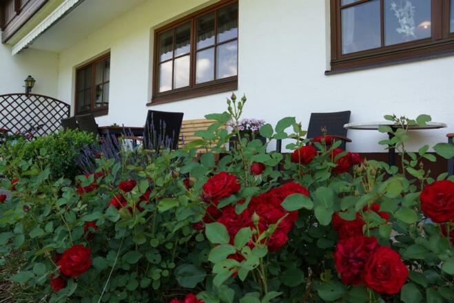 Landhaus Geisler, Terrasse/Blumen