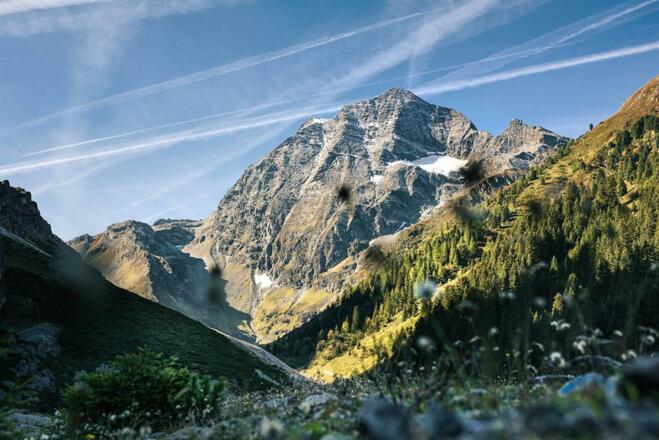 andreschoenherr_DSC0735