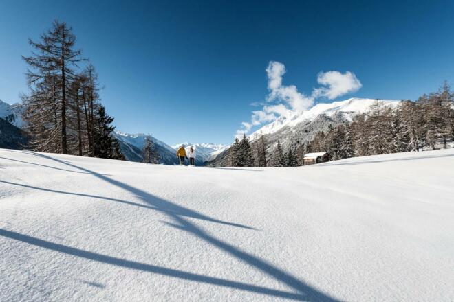 andreschoenherr_DSC6267