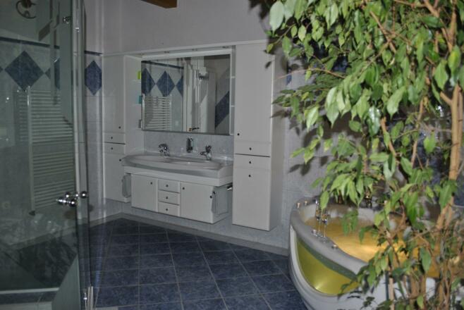 Badezimmer mit Whirlpool und Doppeldusche