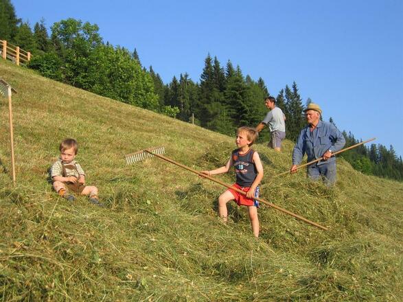 Alpengasthaus Gleinserhof Feld 2