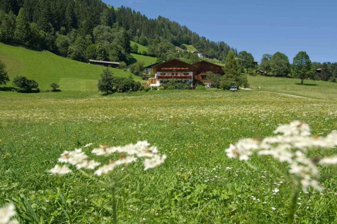 Pension Ladestatthof im Sommer