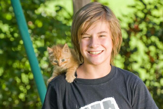 Tiere am Bauernhof - Katzen