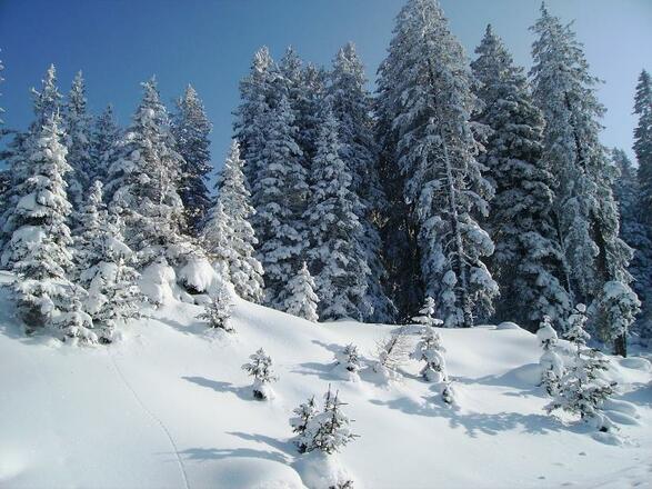 traumhafte Winterlandschaft am Berg