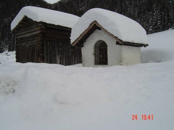 Winter Ganifer