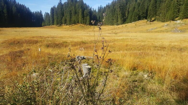 Wildried - Kristberg