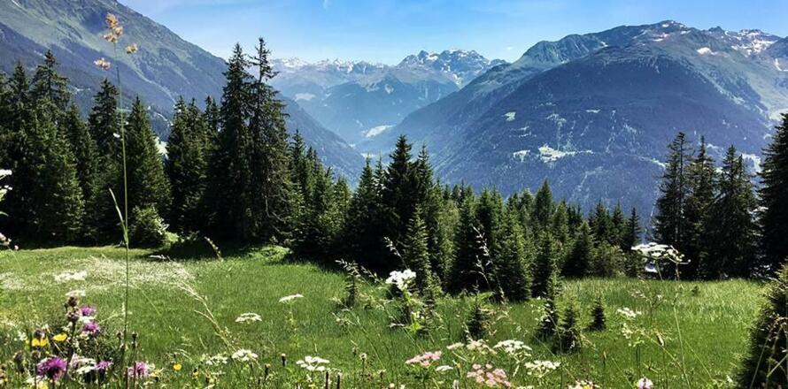 Montafon