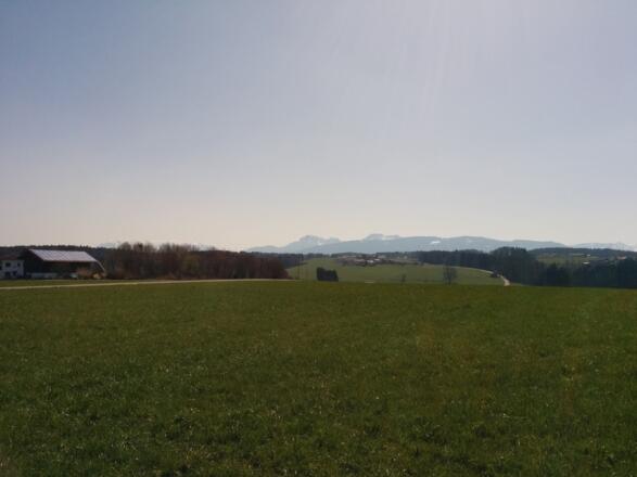 Ausblick vom Mühlberg Richtung Alpen