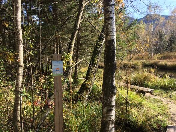 Herbst am Morrundweg Staudach-Egerndach