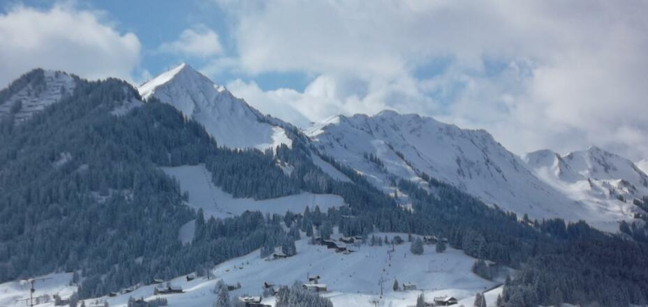 Ausblick Walmendingerhorn