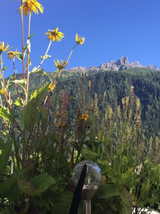 2016-08-28-PHOTO-00000048