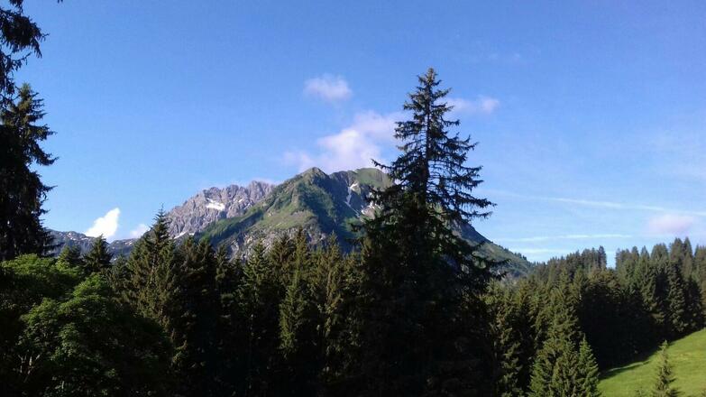 Bärenkopf und Widderstein