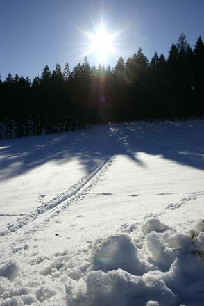 IMG_1761.JPG