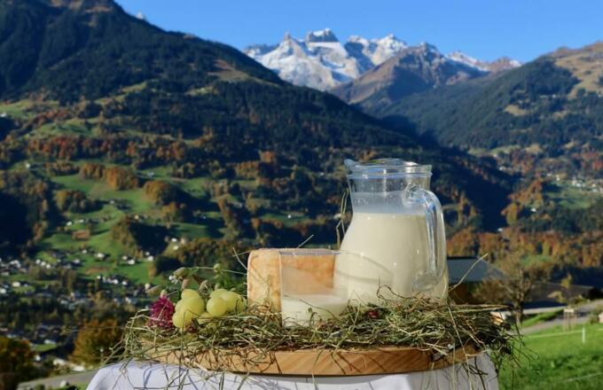 Ausblick