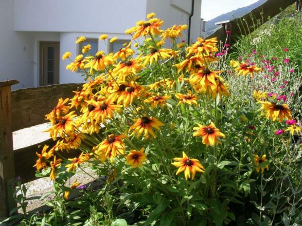 Blumen