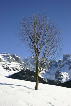 IMG_1739