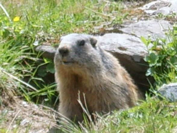 197717_105008086309848_1478607400_n