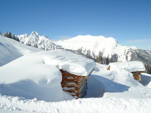 306563_105009552976368_1031805496_n