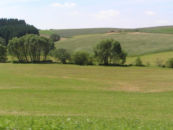 Galeriewald im Mühlviertel