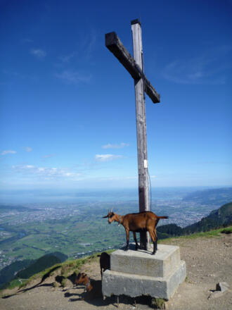 Gipfelkreuz der Hohen Kugel
