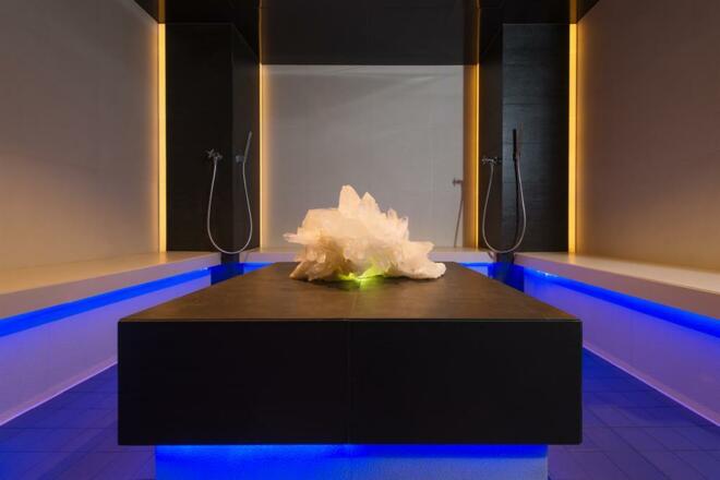 Wellness