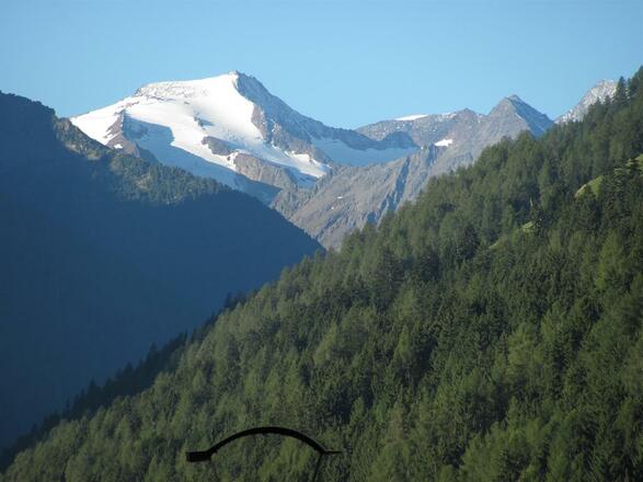 Blick Sommer