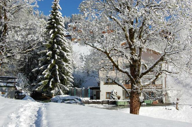 F5 späte Winter Rückkehr