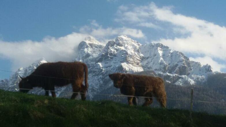Glücksplatzl Serles und Zotteltier