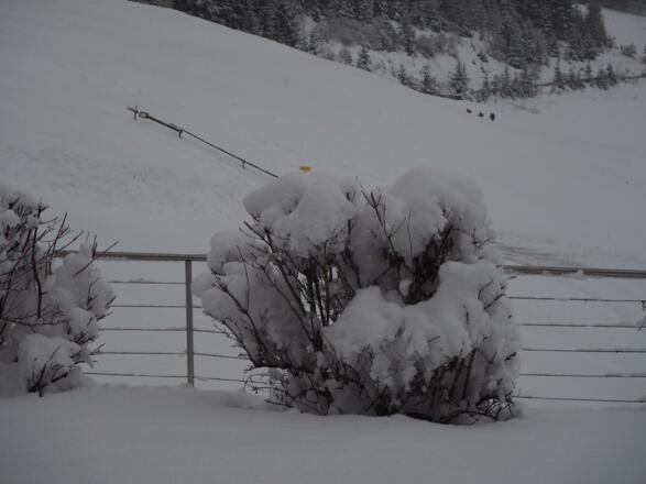 Glücksplatzl Mieders Schnee