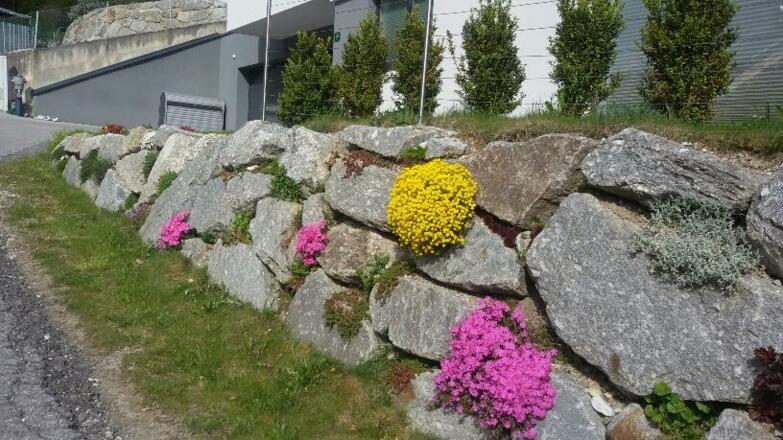 Glücksplatzl Mieders Mauer Frühling