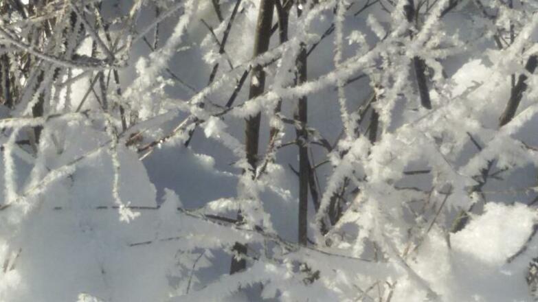 Glücksplatzl Mieders Frost