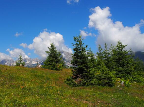 Glücksplatzl Mieders Wanderung