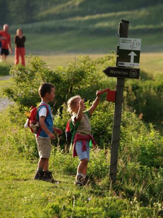 Wander Kinder