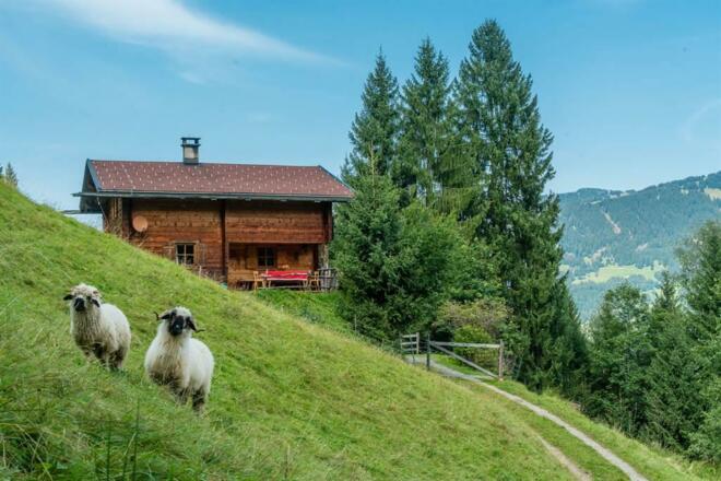 nej_20170908_DSC6466