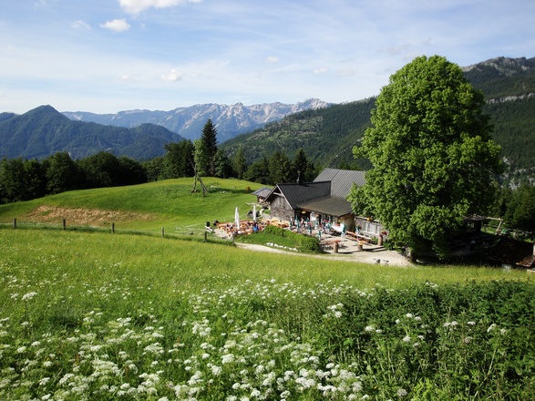 Hoisenrad Alm