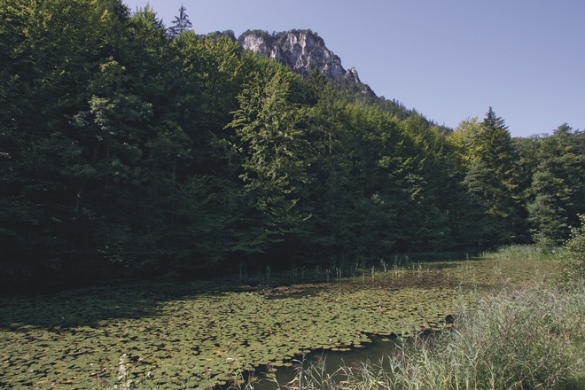 Seemösl beim Thumsee - Foto Kur-GmbH Bad Reichenhall / Bayerisch Gmain
