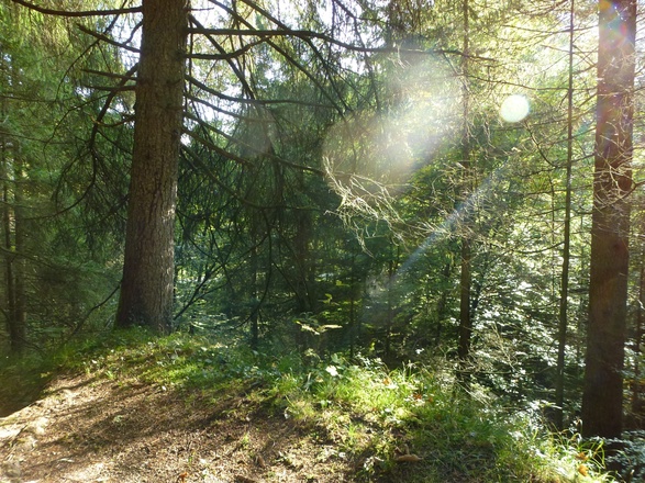Bank zum Durchatmen am Maisrundweg