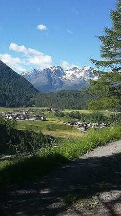 Wandern -  Niederthai Umgebung