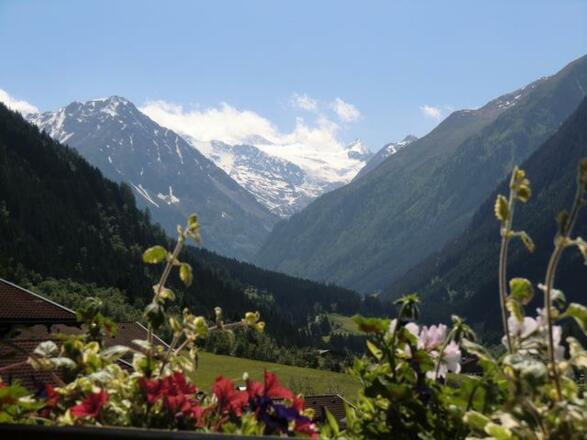 Gletscherblick Sommer