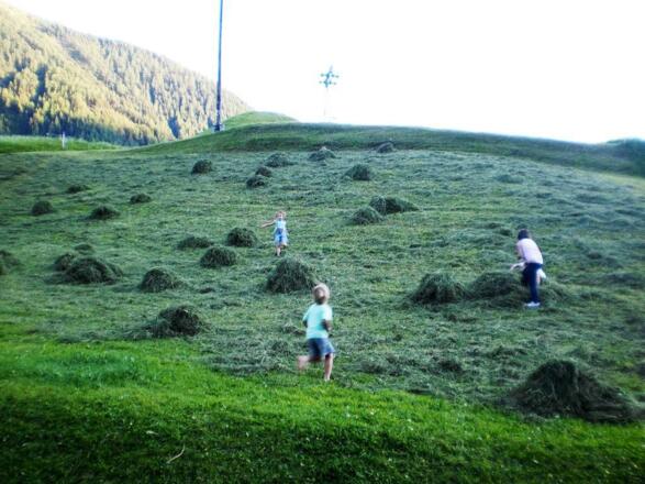 Heuernte mit Kindern