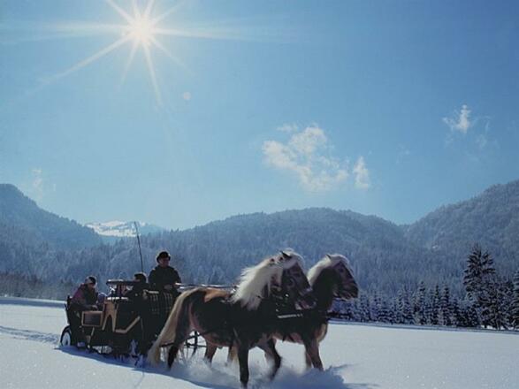 Kutschenfahrt-Winter