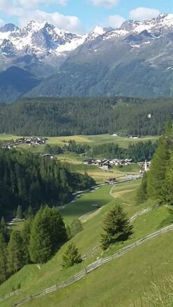 Niederthai - Bergmahder