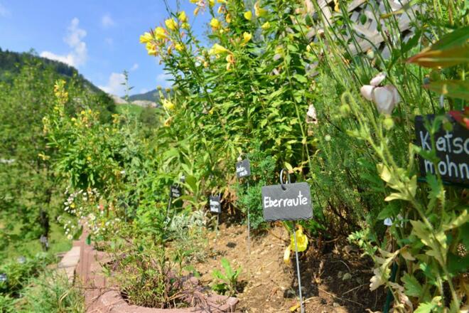 Kräutergarten